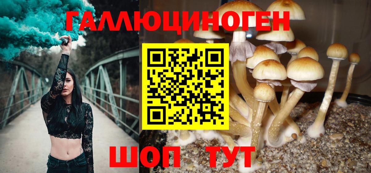 Псилоцибиновые грибы MAGIC MUSHROOMS Комсомольск-на-Амуре