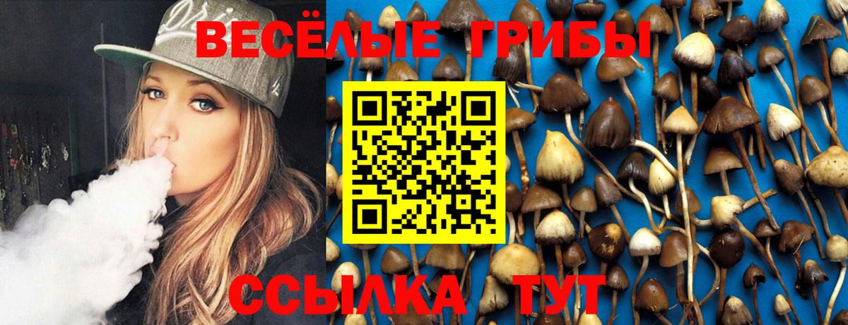 Псилоцибиновые грибы Psilocybine cubensis  Вход с VPN  Псилоцибиновые грибы мицелий  Комсомольск-на-Амуре 